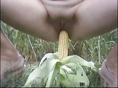 Laska wbija go w cipkę wibrator