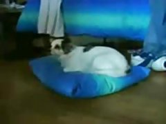 Bogacz w czyimś garażu