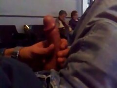 Ruda laska wali konia przed lustrem i spuści na swoje odbicie